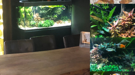 aquarium Highline 300 - le dArville