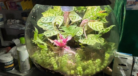 aquarium Biorb air 30