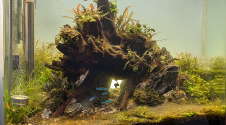 Fini les algues ! ( Pour le moment..)