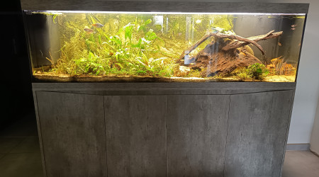 aquarium Aquarium 500L