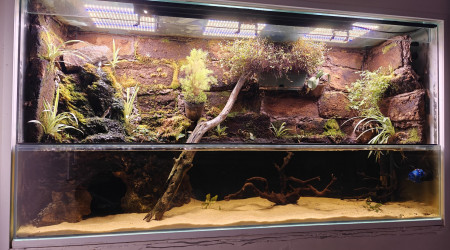 aquarium Paludarium