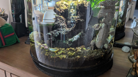 aquarium Biorb Tube de 35 litres Acrylique