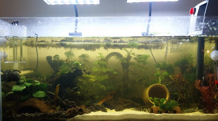 aquarium Le Monde de Bloups