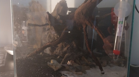 Changement d eau effectué