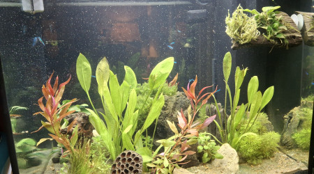 1er habitants arrivés !