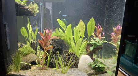 1er habitants arrivés !