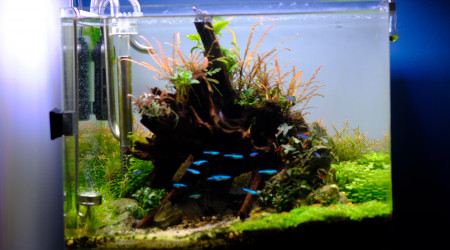 Dernières photos de mon bac ☺️