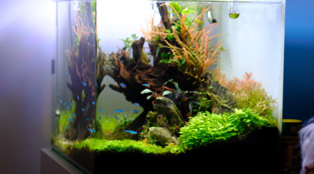 Dernières photos de mon bac ☺️