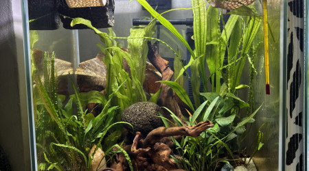 aquarium Aquatlantis 31 Automne