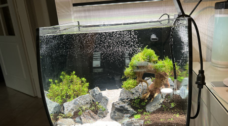 aquarium 30L