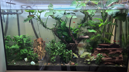 aquarium Aquatlantis