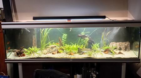 aquarium Aquarium 600 litres