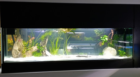 aquarium POSEIDON 1000