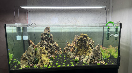 aquarium Ohko stone aquarium