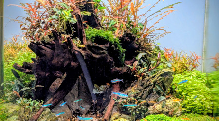 Bonne année 2026 à tous!