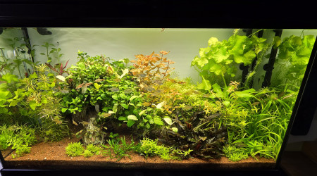 Je vous souhaite tous une très bonne année et une très bonne santé à tous