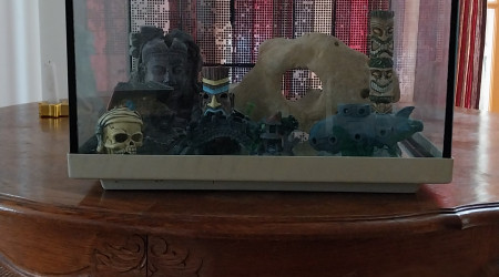 aquarium Bassine de 90L