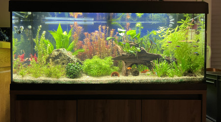aquarium Aquarium 200 litres