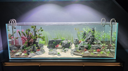 Silence, ça pousse...