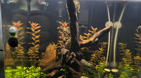 aquarium Nano 60L