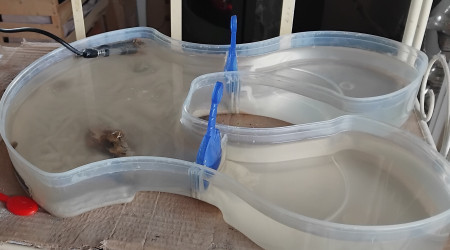 Mon petit bac à triops