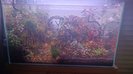 Évolution 60 litres