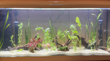 aquarium Zolux 100L