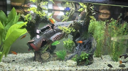 aquarium Mon 80 litres