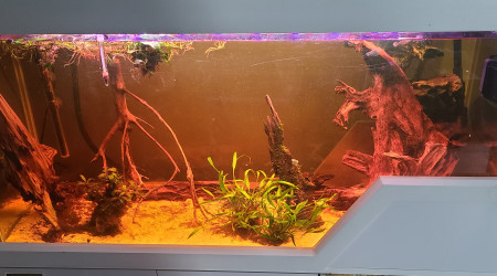 aquarium Communautaire