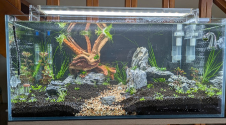 aquarium Naturel aquarium