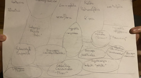 aquarium Futur projet lointain