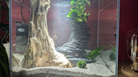 aquarium AMTRA NANOSCAPING 35