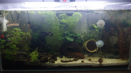 aquarium Le Monde de Bloups