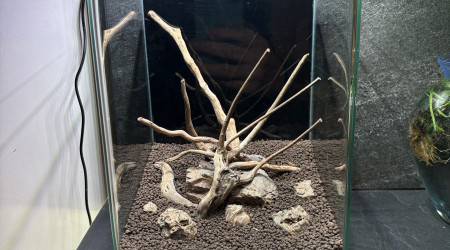 aquarium Nano nature