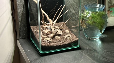 La nature n'est pas morte