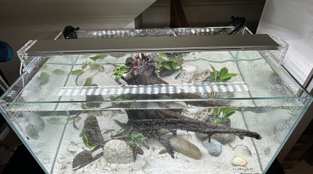 Premier remplissage complet