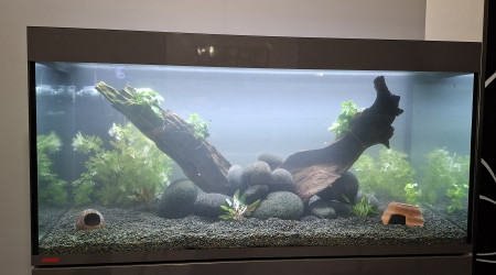 aquarium Communautaire