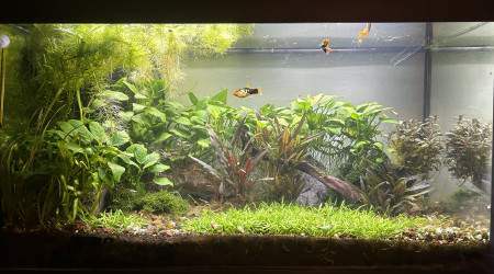 Entretien de mon premier bac