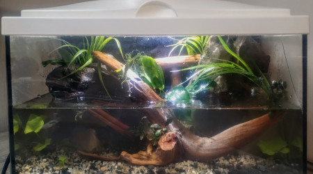 aquarium Recup Palu Aquaterrarium