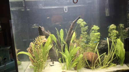 Suite travaux aménagements