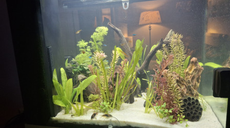 Suite travaux aménagements