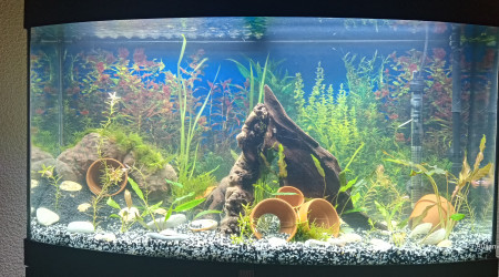 aquarium Vision 180