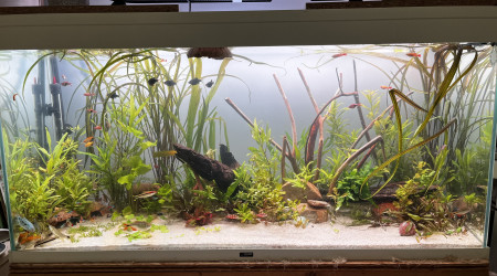 aquarium Mon 200L