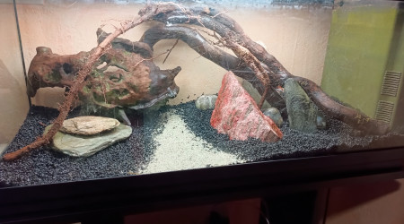 aquarium Le 70L mystère