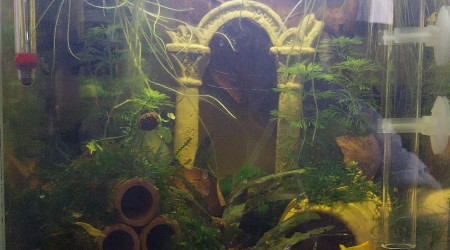 aquarium Le monde de Birdo