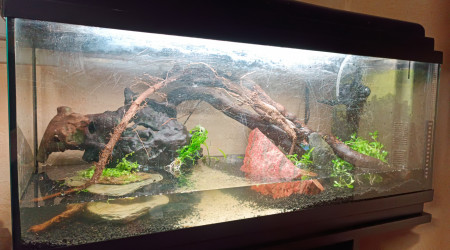 Début de mise en eau