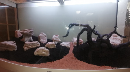 aquarium Kurenai no sosei