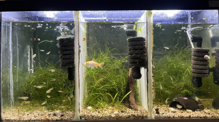 aquarium Le trois en un 60l