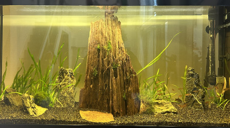 aquarium 120L