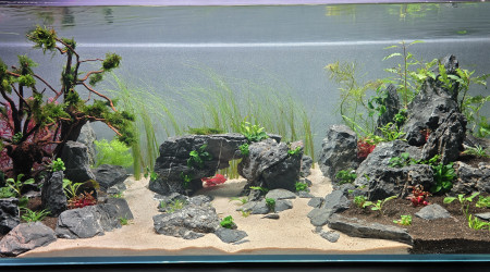 1 mois après  (avant/après)